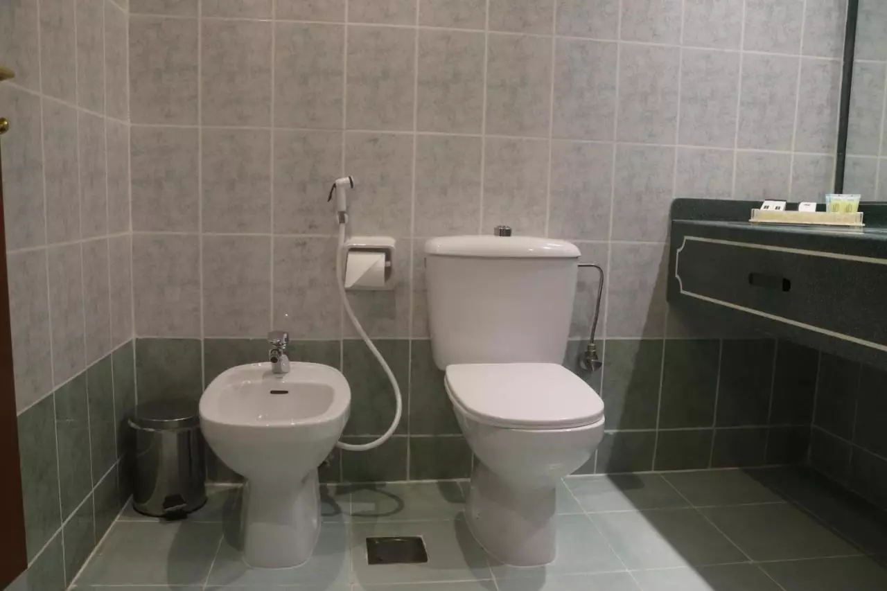 سرویس بهداشتی GSS AVENUE ex DELMON